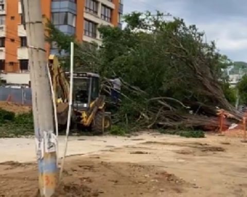 Qué hacer en caso de vendaval, como el ocurrido anoche en Barranquilla.