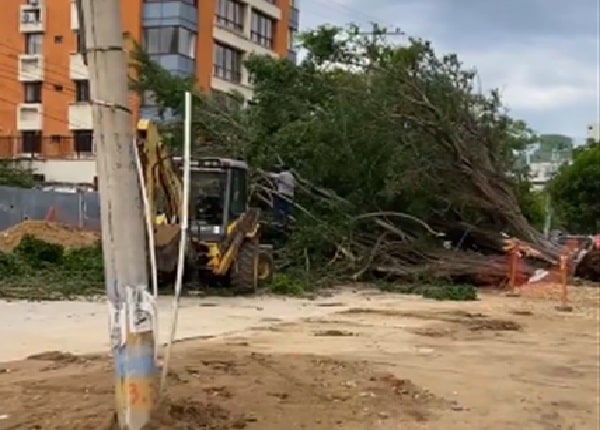 Qué hacer en caso de vendaval, como el ocurrido anoche en Barranquilla.