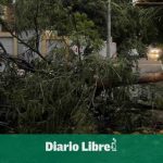 Wind gusts knock down trees in Navarrete