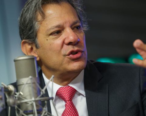 "The time has come to bring order to this"says Haddad about bets