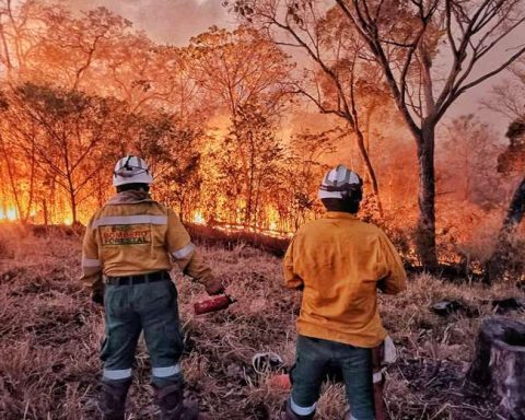 "There are no more hands left, please declare a national disaster"the cry of a volunteer firefighter to the Bolivian Government