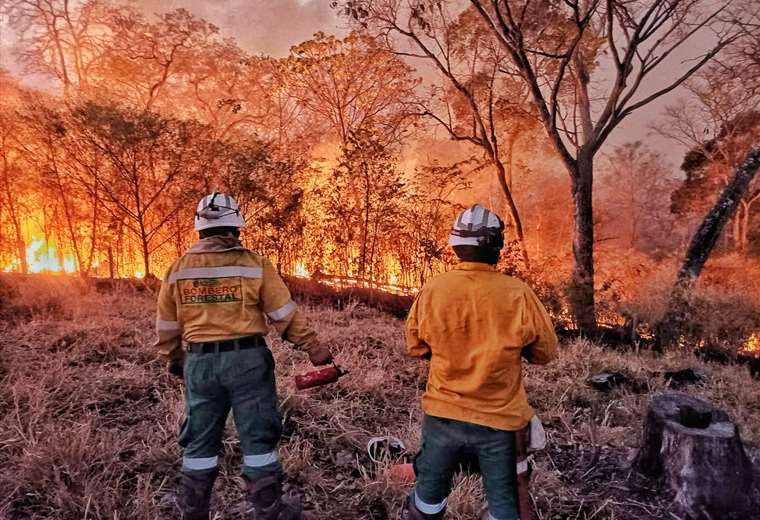 "There are no more hands left, please declare a national disaster"the cry of a volunteer firefighter to the Bolivian Government