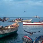 500 fishing vessels are paralyzed in Nueva Esparta due to lack of fuel