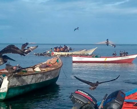 500 fishing vessels are paralyzed in Nueva Esparta due to lack of fuel