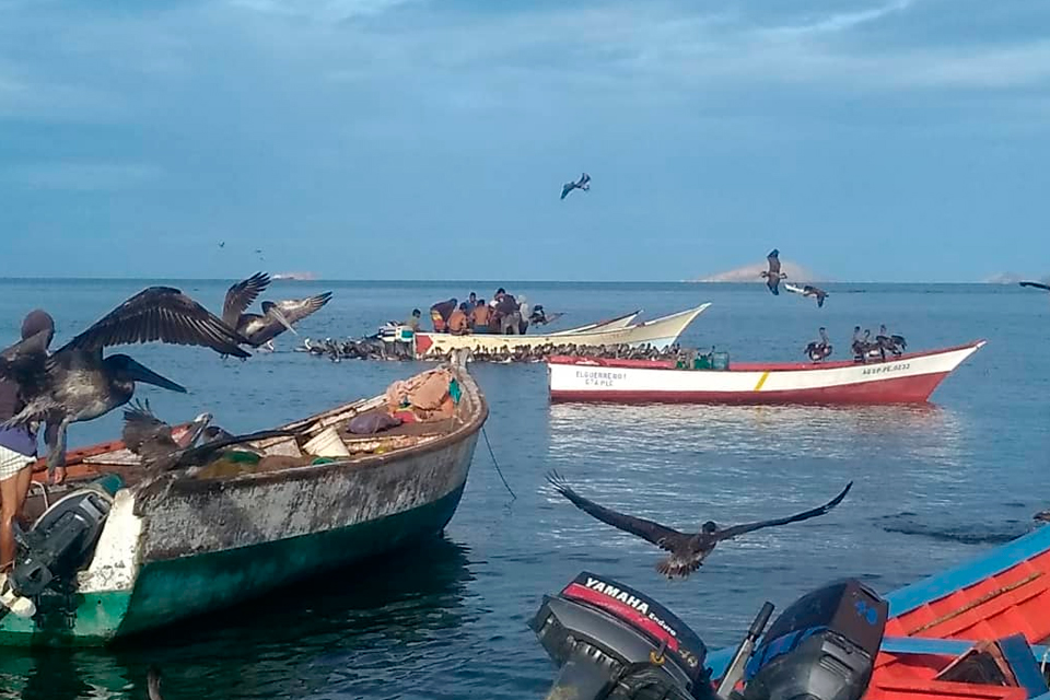 500 fishing vessels are paralyzed in Nueva Esparta due to lack of fuel