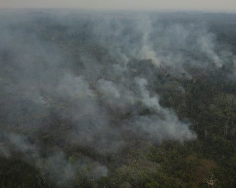 AGU charges R$89 million from those accused of causing fires in the Amazon