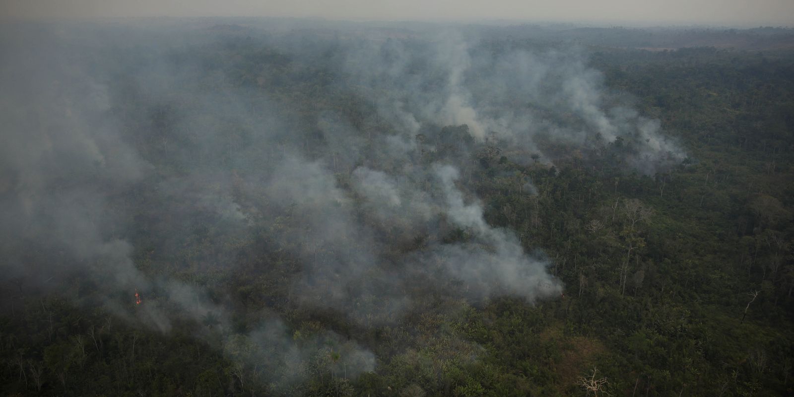 AGU charges R$89 million from those accused of causing fires in the Amazon