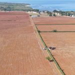 Agricultura prepara 7,900 tareas de tierras gratis a productores en Puerto Plata