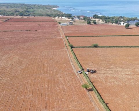 Agricultura prepara 7,900 tareas de tierras gratis a productores en Puerto Plata