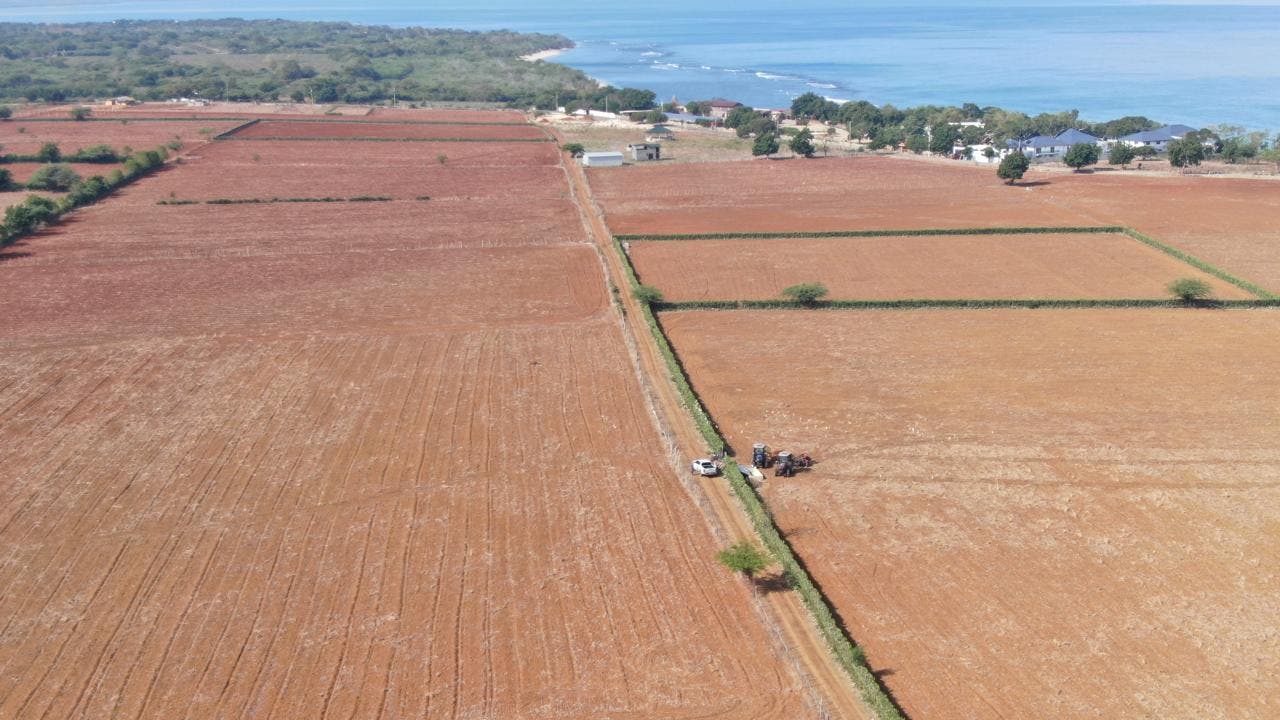 Agricultura prepara 7,900 tareas de tierras gratis a productores en Puerto Plata