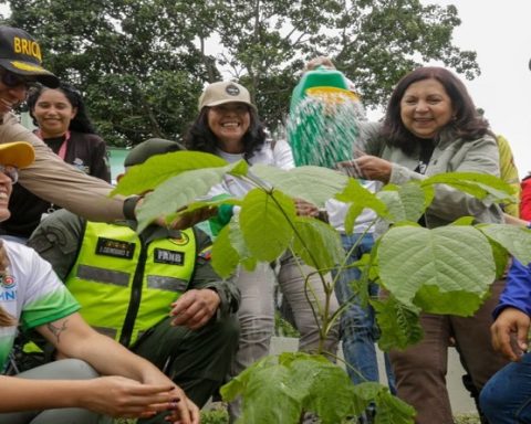 Plan de Arborización plantó 300 árboles en la Cota Mil de Caracas