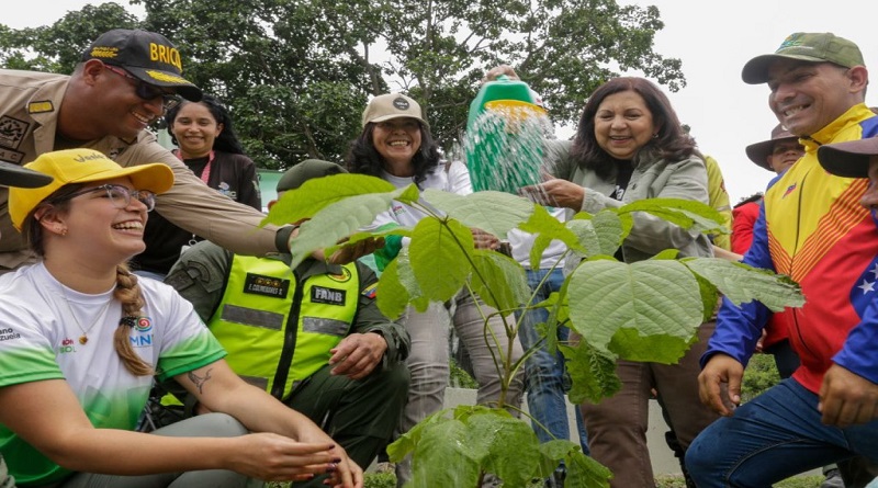 Plan de Arborización plantó 300 árboles en la Cota Mil de Caracas