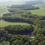 Biodiverse corridor in the Cauca River, the new bet of the sugarcane agroindustry