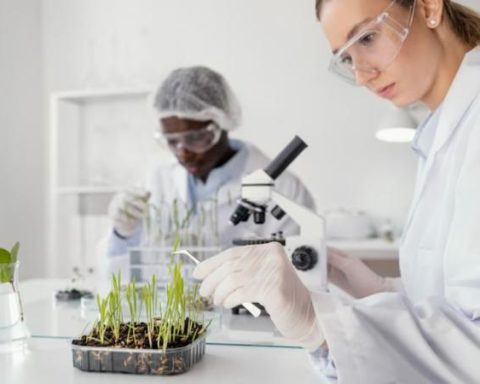 Bioengineering is emerging as a key factor to guarantee food security