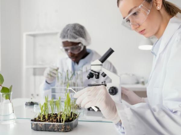 Bioengineering is emerging as a key factor to guarantee food security