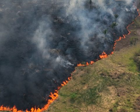 Caminhos da Reportagem highlights this year’s fires