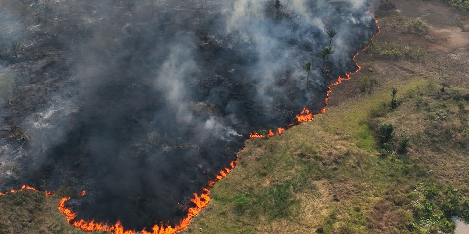 Caminhos da Reportagem highlights this year’s fires