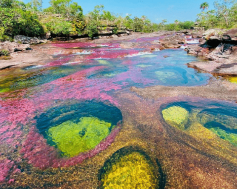 Caño Cristales: the river of the five colors of Colombia