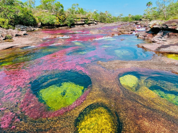 Caño Cristales: the river of the five colors of Colombia