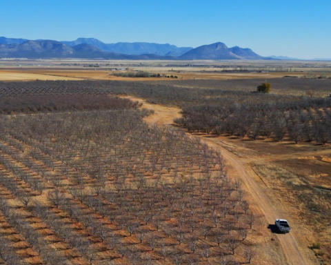 Chihuahua invests 1,000 million pesos in support of farmers