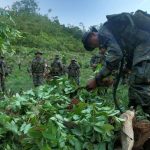 Cocaine production in Colombia soared by 53% in 2023