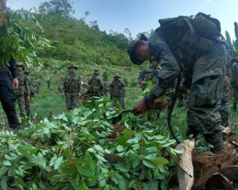 Cocaine production in Colombia soared by 53% in 2023