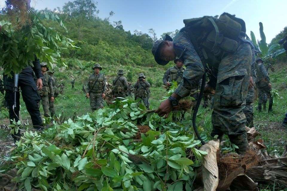 Cocaine production in Colombia soared by 53% in 2023