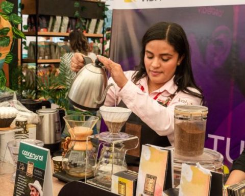 Coffee Fest 2024: news from the new edition of this coffee fair