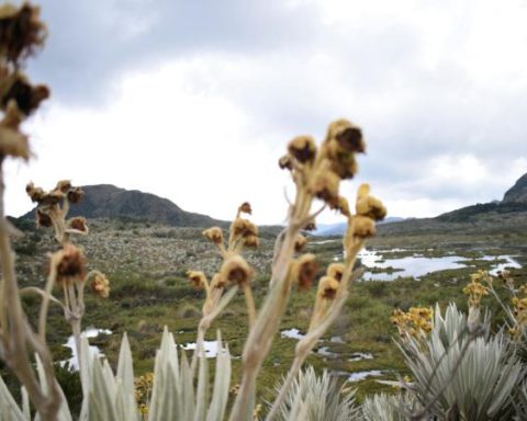 Colombian government seeks investments of US$40 million for climate transition