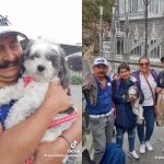 'Congo', the little dog that migrants stole in Cauca and took to Peru finally returned home