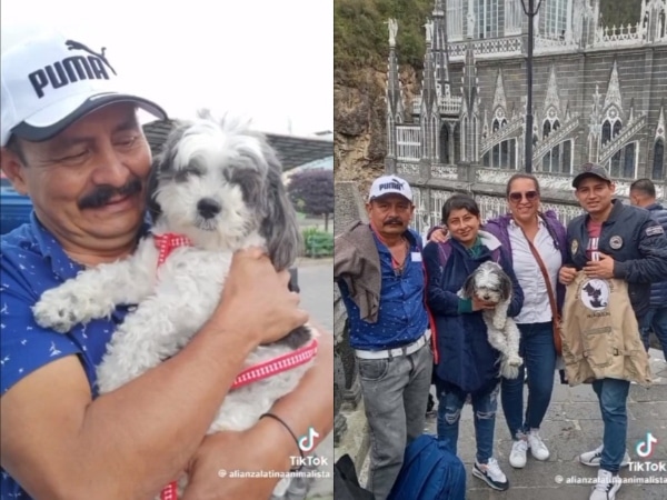 'Congo', the little dog that migrants stole in Cauca and took to Peru finally returned home