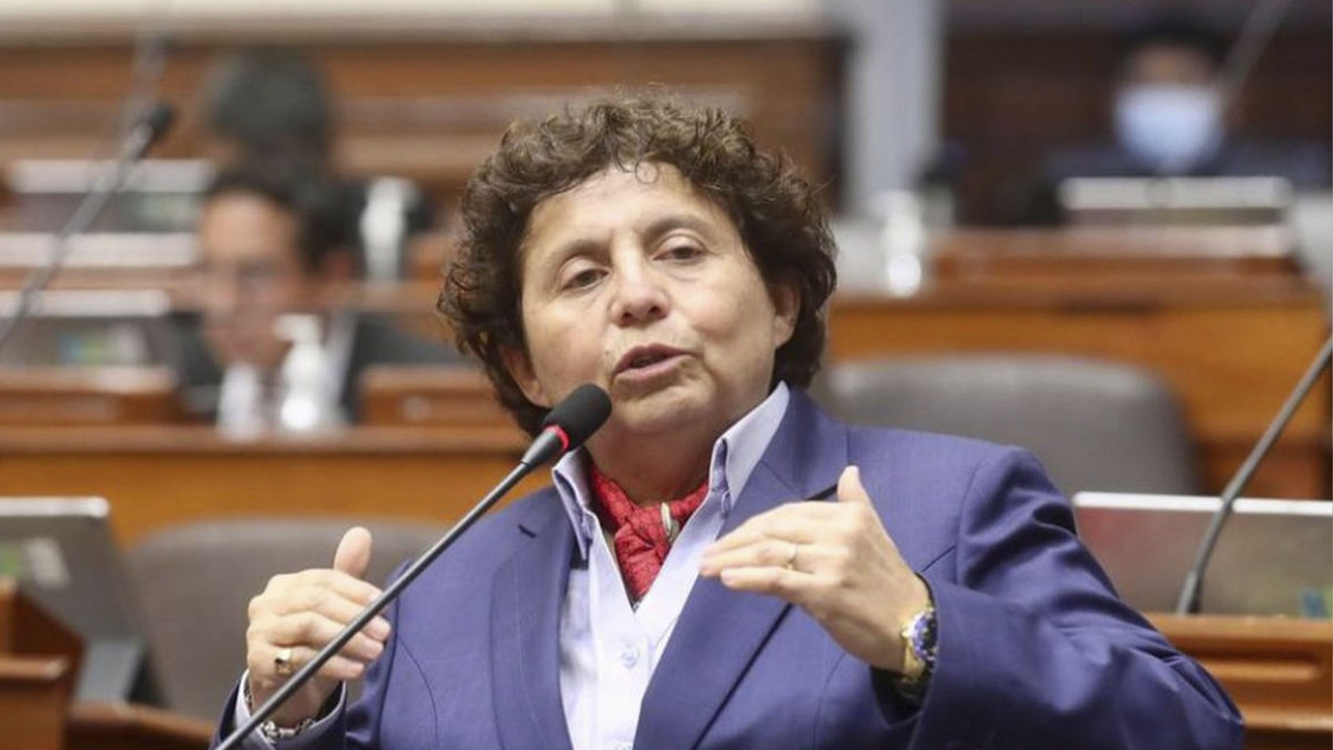 Congressman Susel Paredes on systematic crime project: “It has been done without any seriousness”