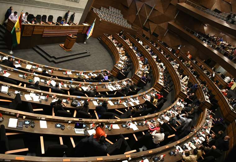 Criticism mounts in Bolivia over the redistribution of parliamentary seats