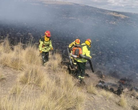 Cusco: 85-year-old man perishes charred in forest fire