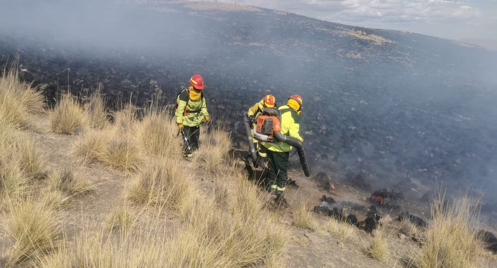 Cusco: 85-year-old man perishes charred in forest fire