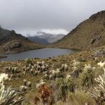 Decree that delimits natural reserve areas would put mining activity at risk