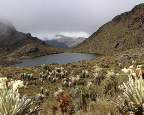 Decree that delimits natural reserve areas would put mining activity at risk