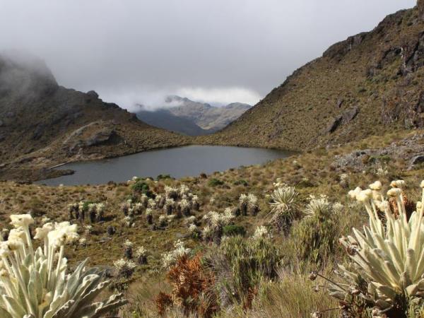 Decree that delimits natural reserve areas would put mining activity at risk