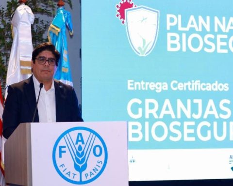 FAO felicita a RD por reducción de subalimentación