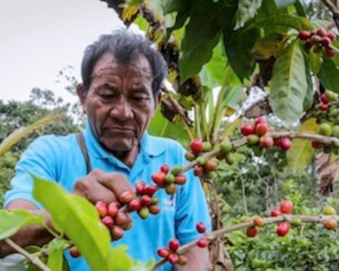 Farmers from the Central Jungle protested at the Junín Regional Government over the budget