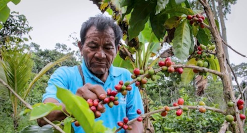 Farmers from the Central Jungle protested at the Junín Regional Government over the budget