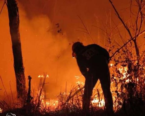 Fires devastate 10 million hectares and clearing increases sixfold