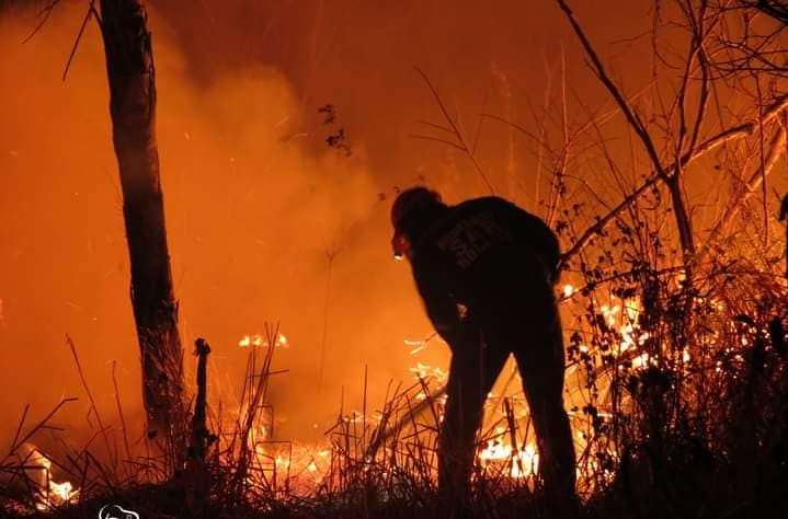 Fires devastate 10 million hectares and clearing increases sixfold