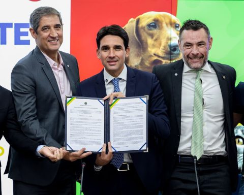 Government announces new rules for air transport of pets