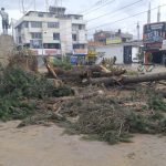 Huancayo: Historical trees are cut down, berm destroyed and farmer's monument removed