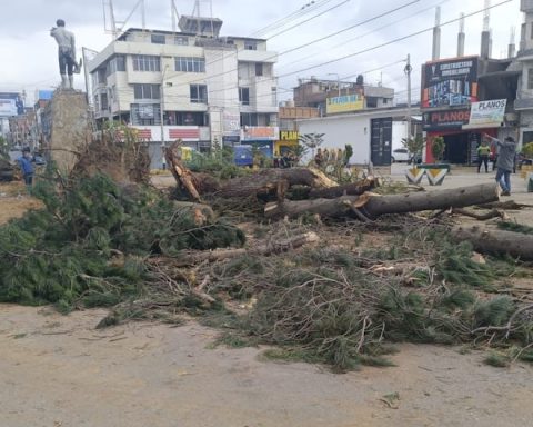 Huancayo: Historical trees are cut down, berm destroyed and farmer's monument removed