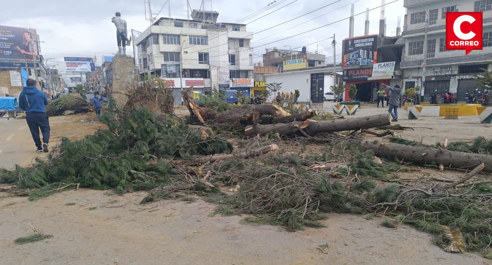 Huancayo: Historical trees are cut down, berm destroyed and farmer's monument removed