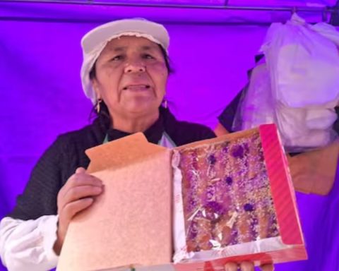 Huancayo begins the traditional nougat fair for the purple month