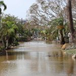 Hurricane Milton leaves a path of death and destruction as it passes through Florida