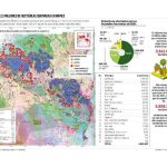 In just one month, almost 3 million hectares burned in Santa Cruz